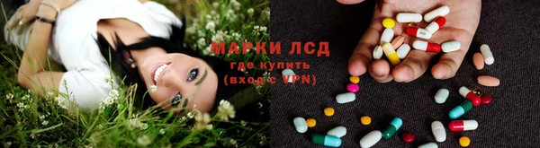 гидра Алексин