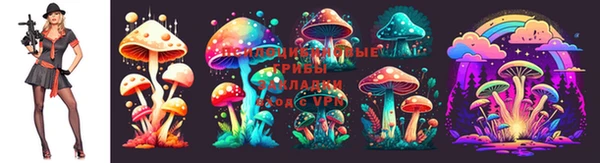 марки nbome Алексеевка