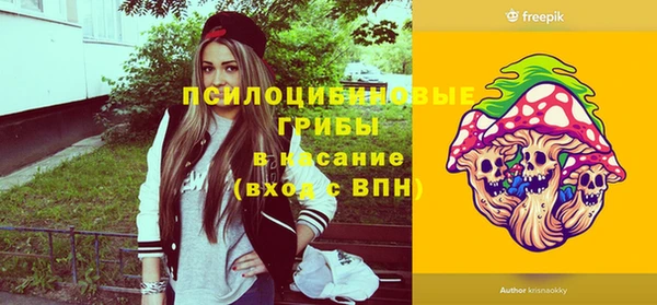 спайс Арсеньев